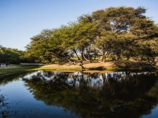 Canoncillo: meet the forest in the northern desert of Peru