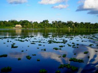 Pacaya Samiria: the peruvian wild amazon