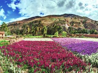 Tarma: discover 10 tourist attractions of the pearl of the Andes