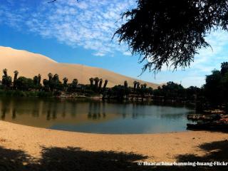 Tours Paracas | Paracas Tours | Paracas national Reserve